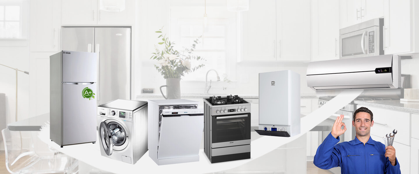 Bursa Altus Servisi
